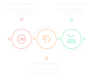 Types of Nafs - Purification of Soul