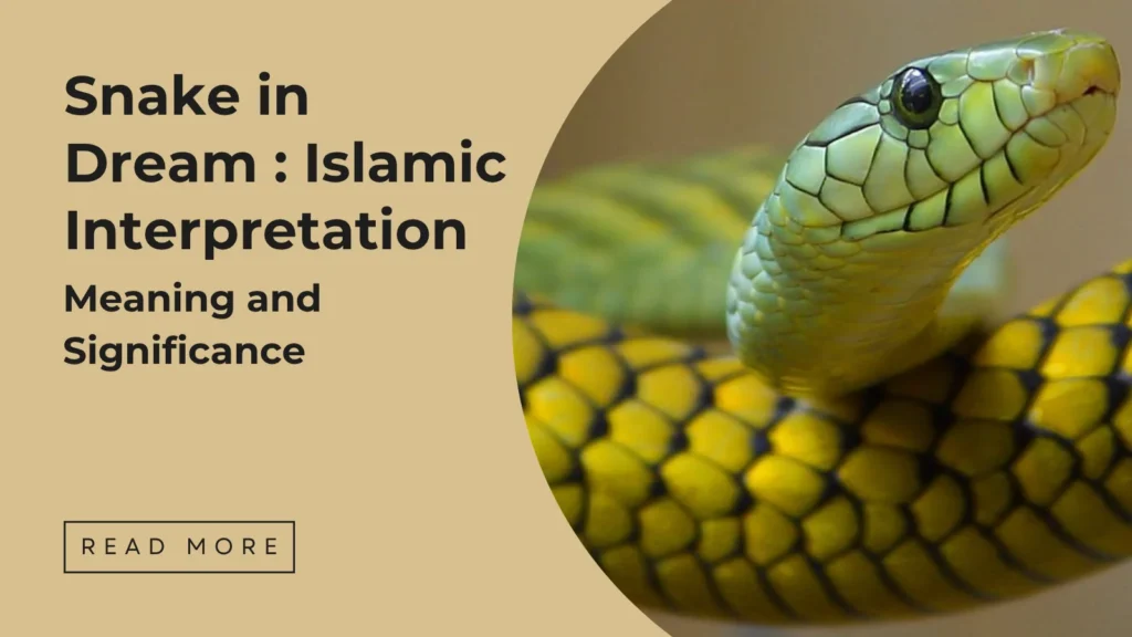 Snake in Dream Islamic Interpretation - Sakeena Academy